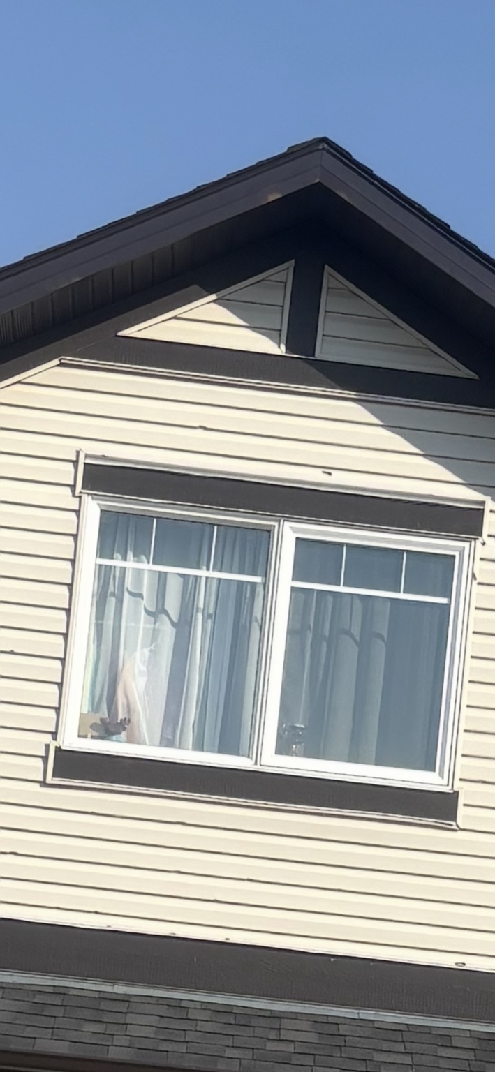 Hail-damaged exterior siding around a window and gable