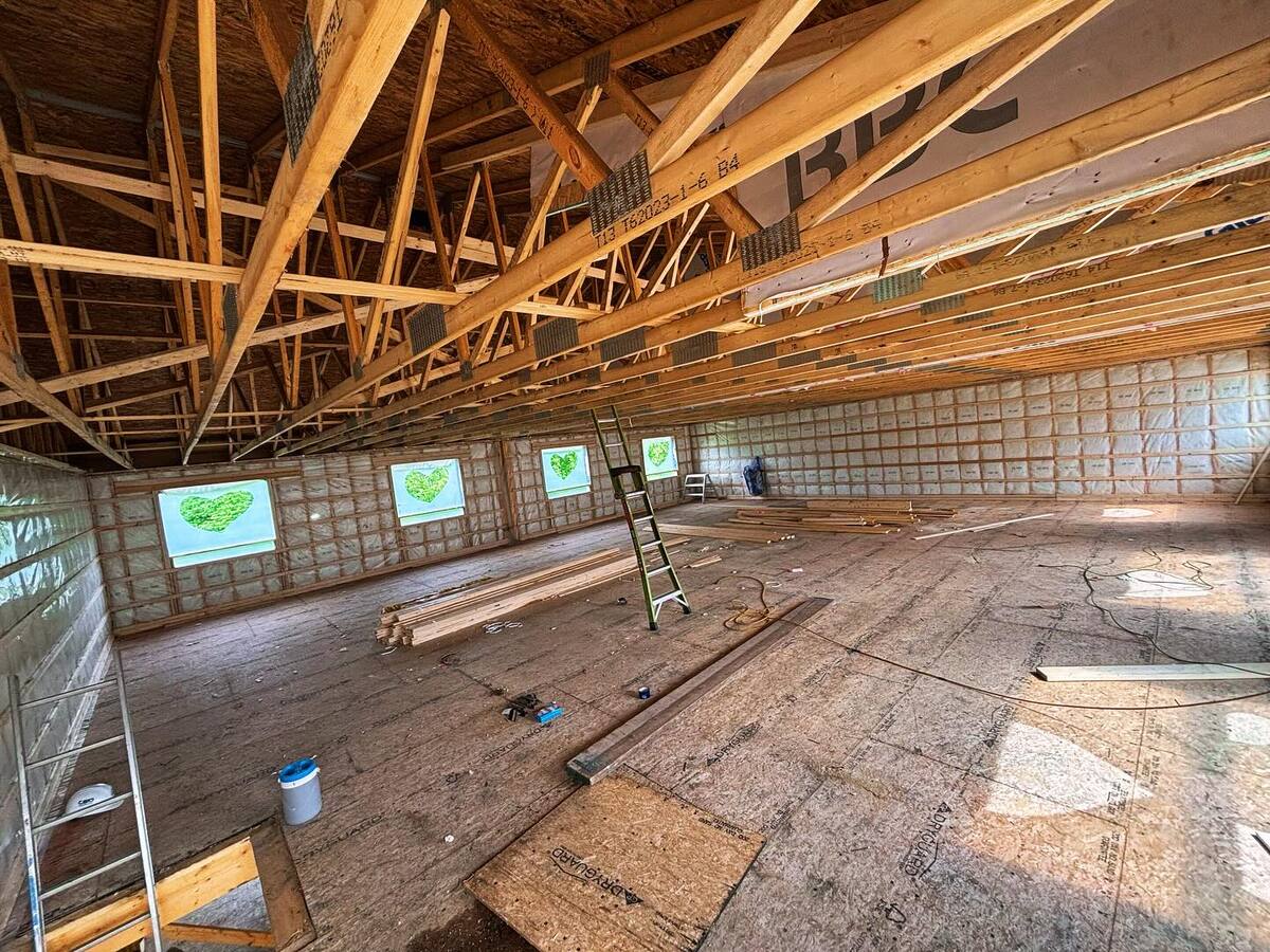 Exposed timber framing and roof trusses